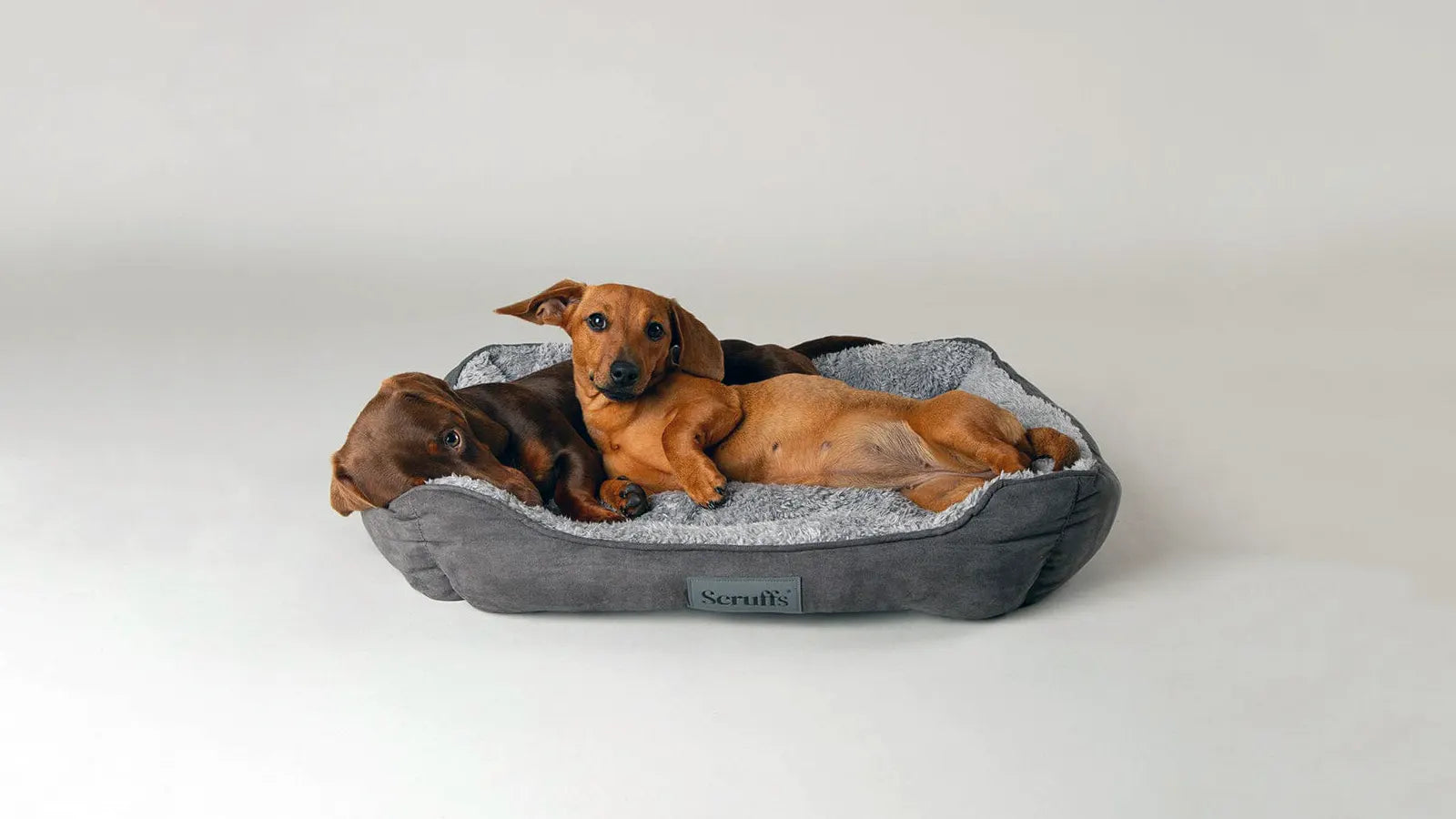 Pet Beds
