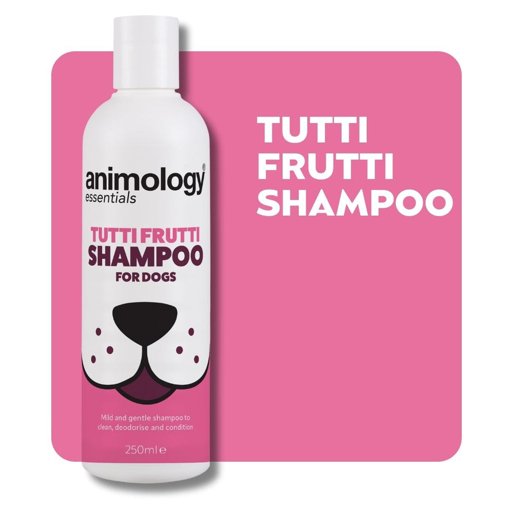 Animology Essentials Tutti Frutti Shampoo - 250 ml