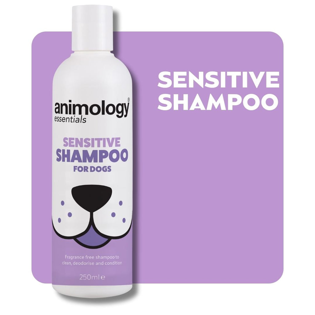 Animology Essentials Sensitive Shampoo - 250 ml