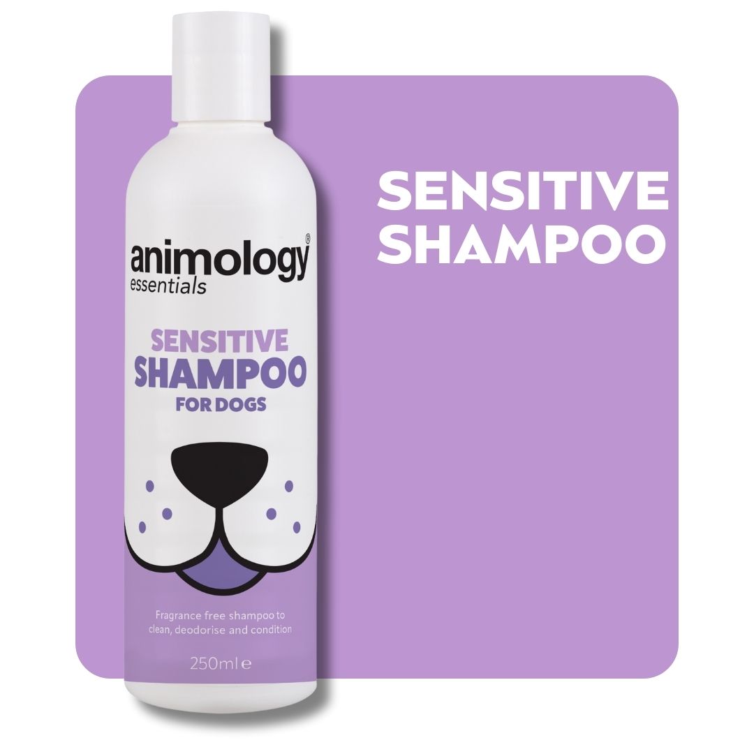 Animology Essentials Sensitive Shampoo - 250 ml