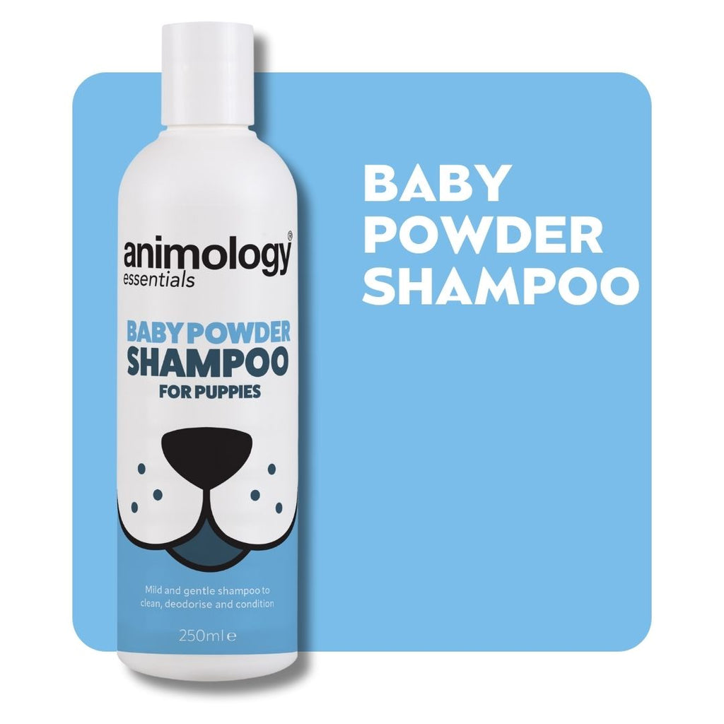 Animology Essentials Baby Powder Puppy Shampoo - 250 ml