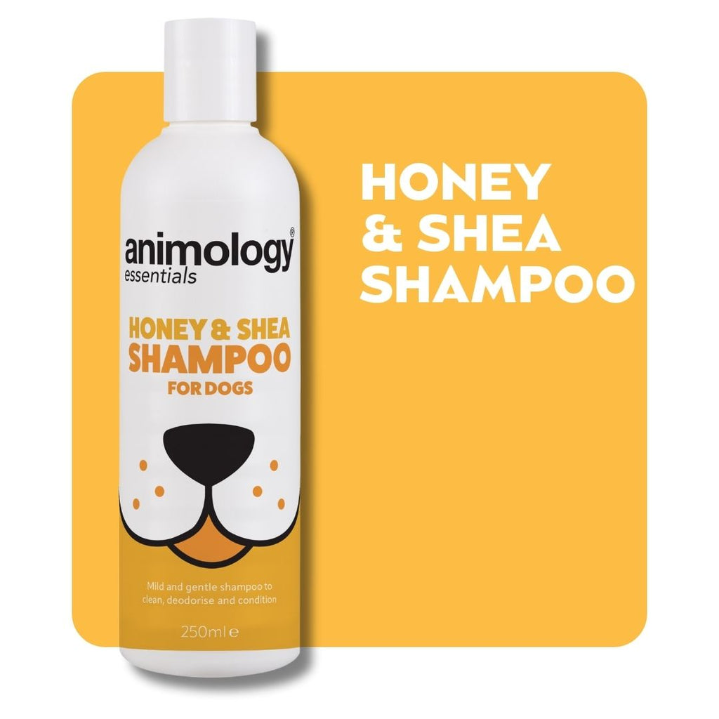 Animology Essentials Honey & Shea Shampoo - 250 ml