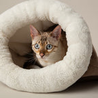 Scruffs Seattle Crinkle Sleeping Bag - Sienna Brown — 14" x 19"