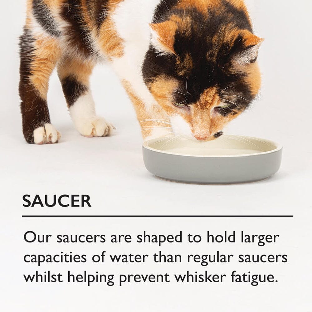 Icon Pet Saucer - Cream