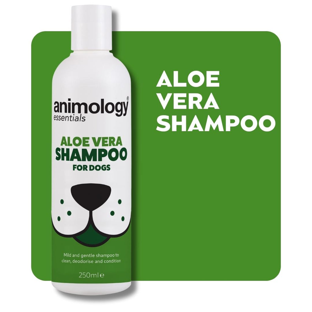 Animology Essentials Aloe Vera Shampoo - 250 ml
