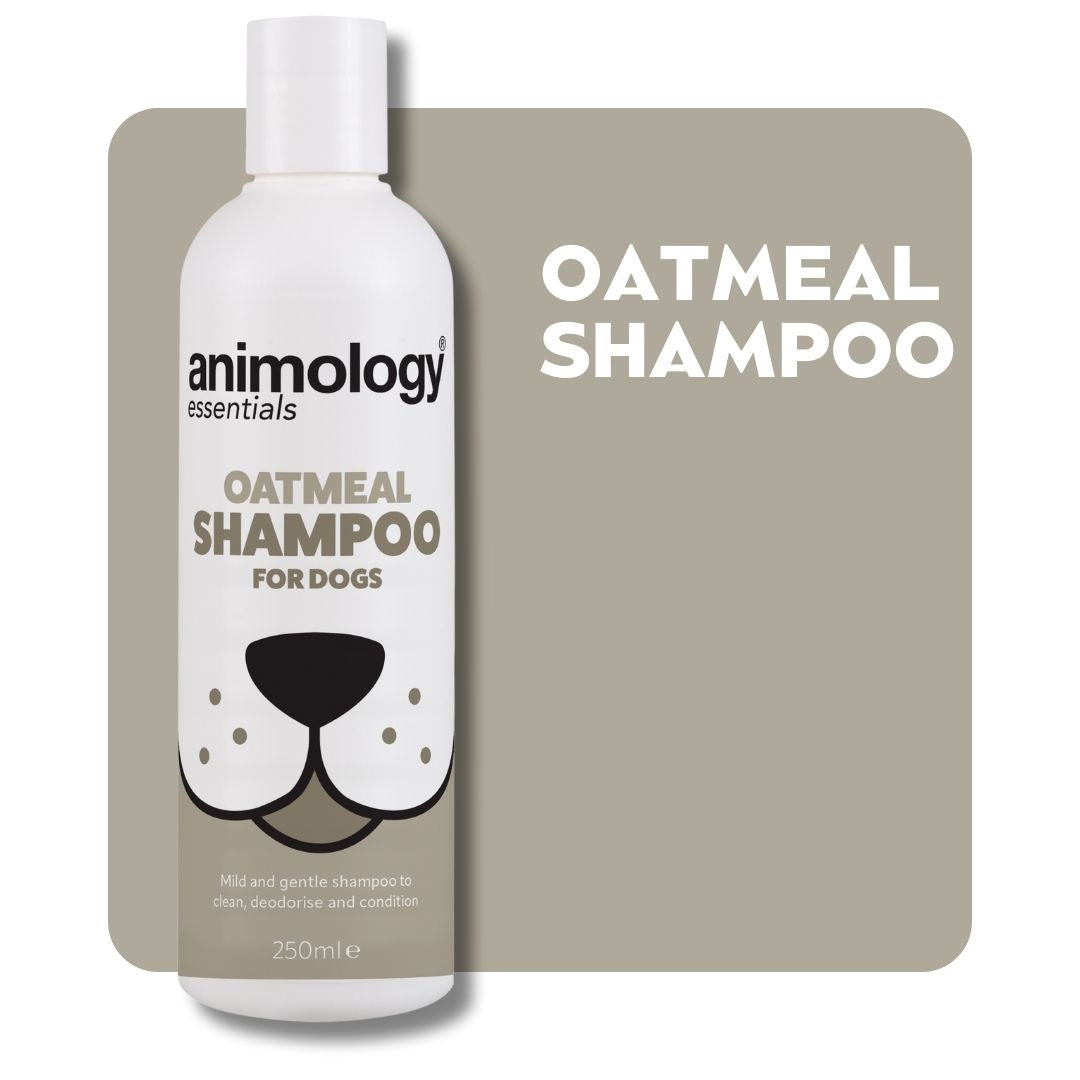 Animology Essentials Oatmeal Shampoo image 3