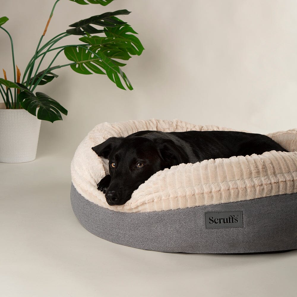 Scruffs Ellen Donut - Light Grey — 22"