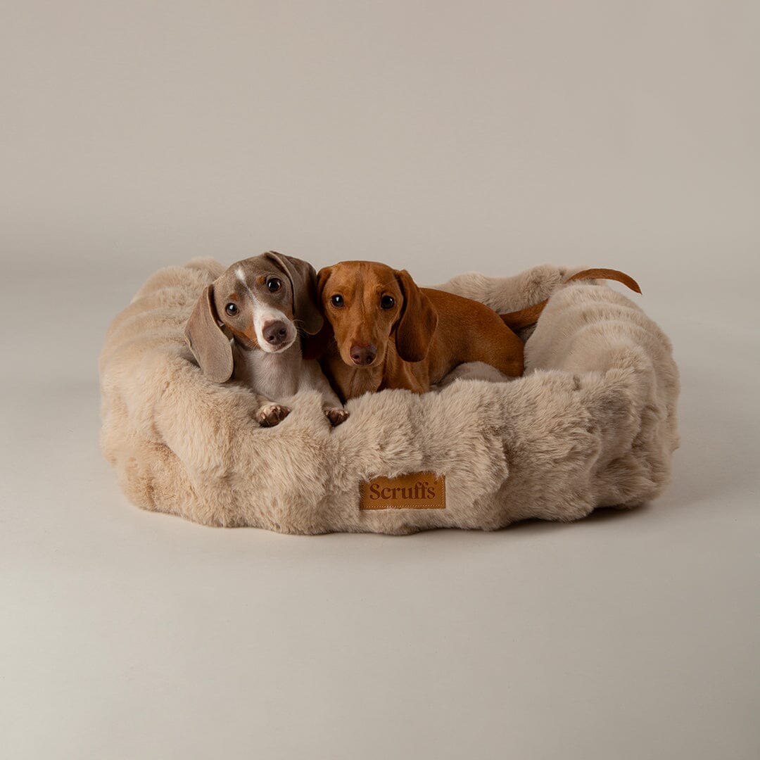 Scruffs Alpine Box Bed - Champagne — 24" x 20"
