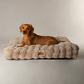 Scruffs Alpine Mattress - Champagne — 32" x 24"