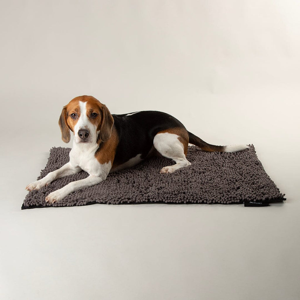 Scruffs Noodle Dry Mat - Grey — 35" x 24"