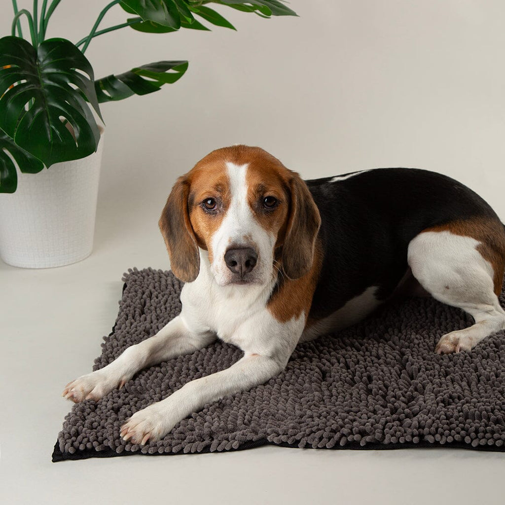 Scruffs Noodle Dry Mat - Grey — 35" x 24"