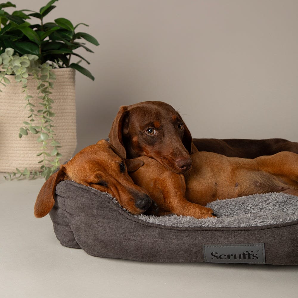Scruffs Cosy Box Bed - Grey — 35" x 28"