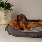 Scruffs Cosy Box Bed - Grey — 35" x 28"