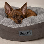 Scruffs Cosy Cat Bed — 18"