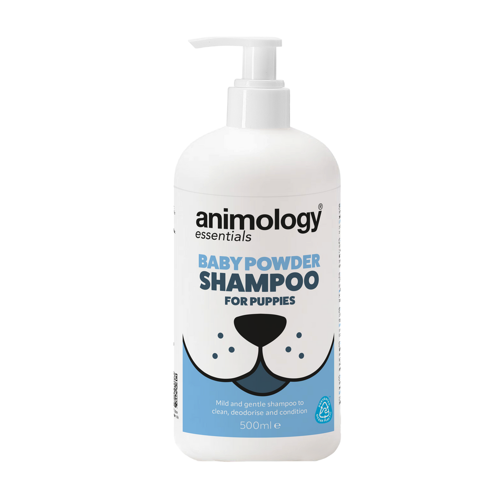 Animology Essentials Baby Powder Puppy Shampoo - 500 ml