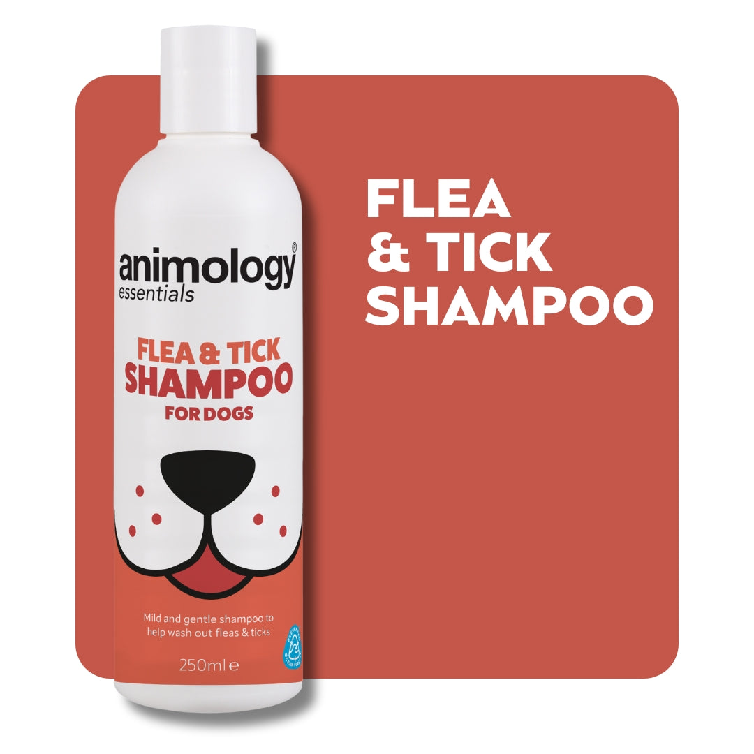 Animology Essentials Flea & Tick Shampoo - 250 ml