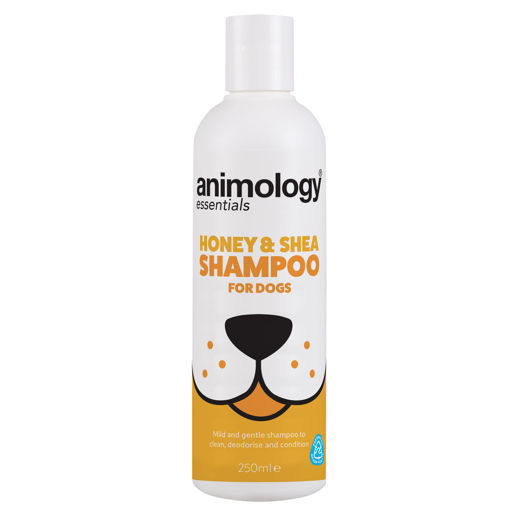 Animology Essentials Honey & Shea Shampoo image 2