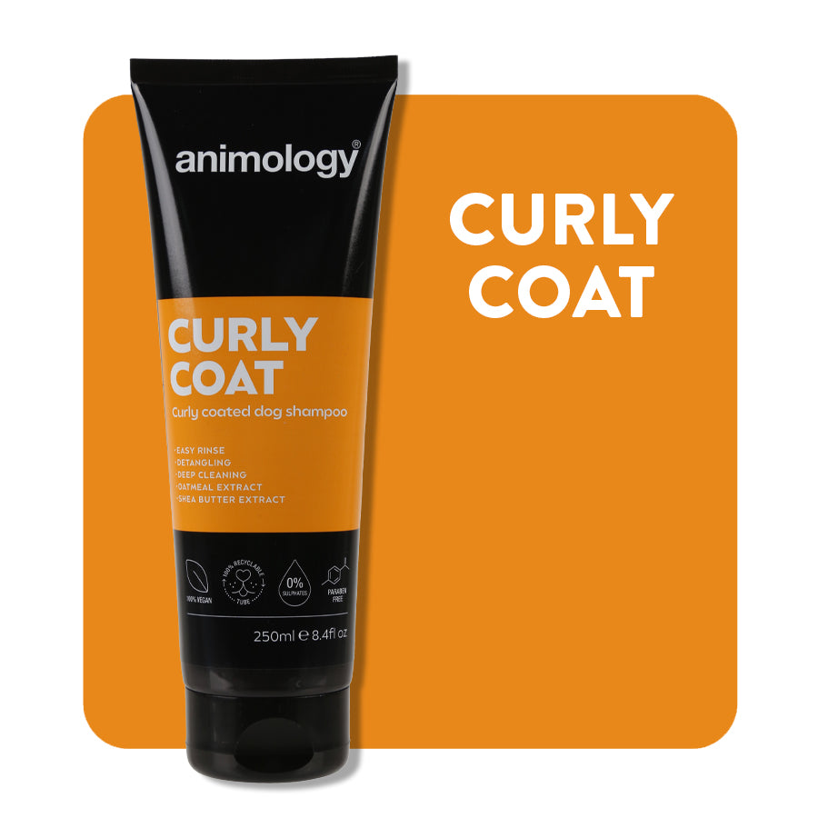 Animology Curly Coat Shampoo image 3