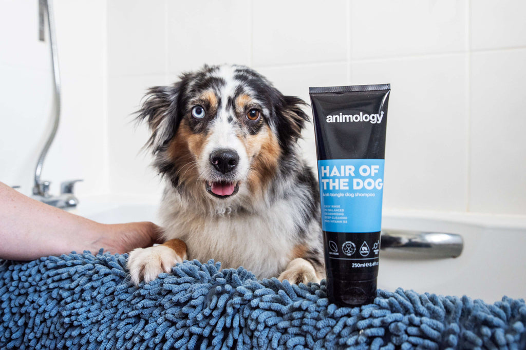 Animology Hair Of The Dog Shampoo image 2