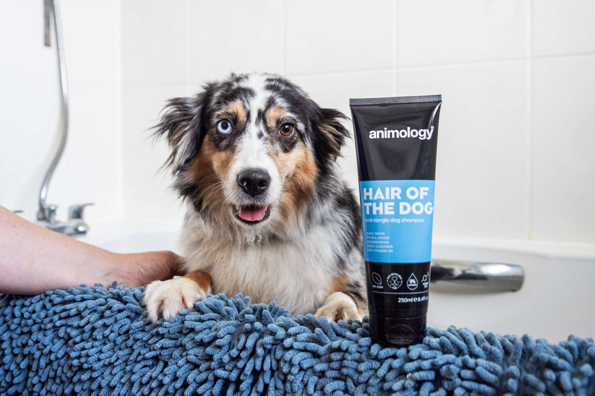 Animology Hair Of The Dog Shampoo image 2