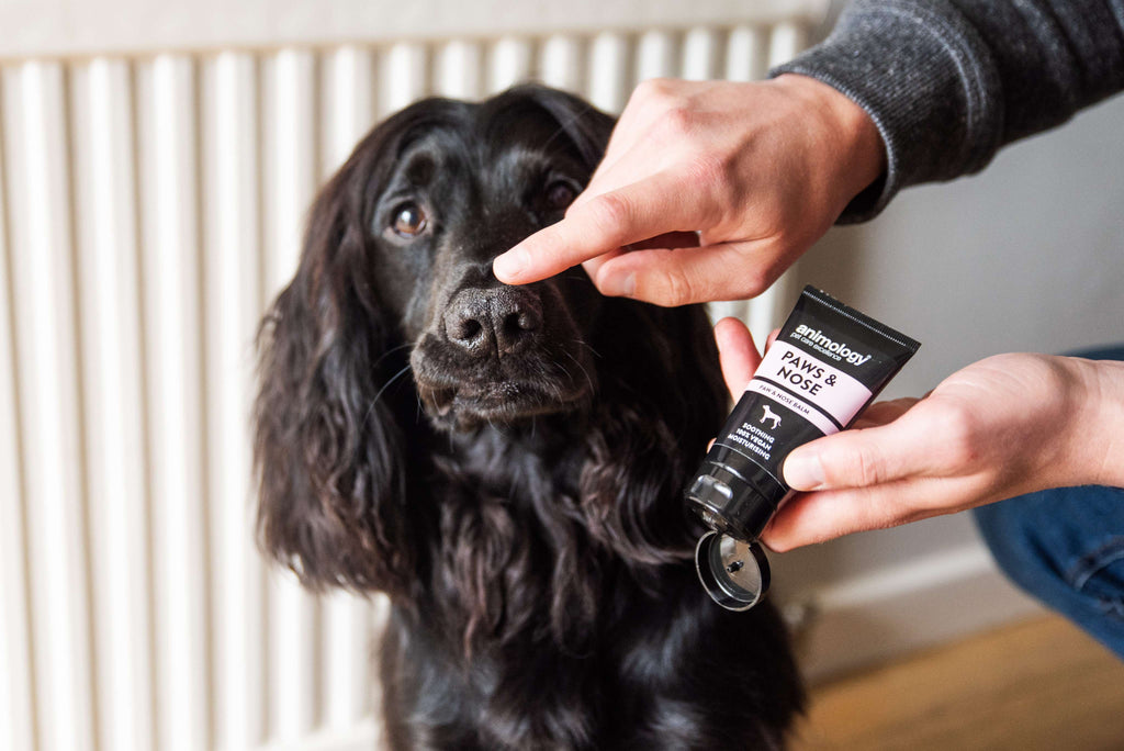 Animology Paws & Nose Balm image 5