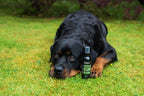Animology Cloud K9 Fragrance Mist image 5