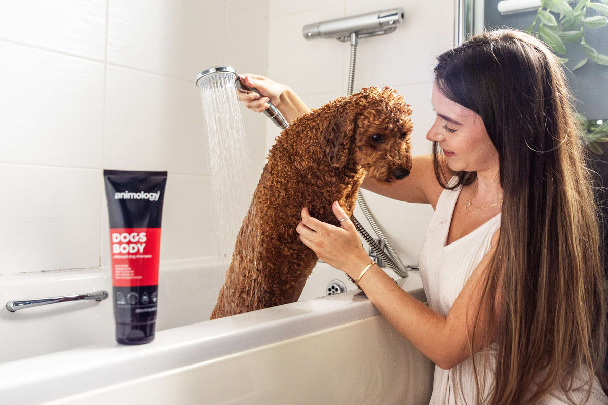 Animology Dogs Body Shampoo image 2