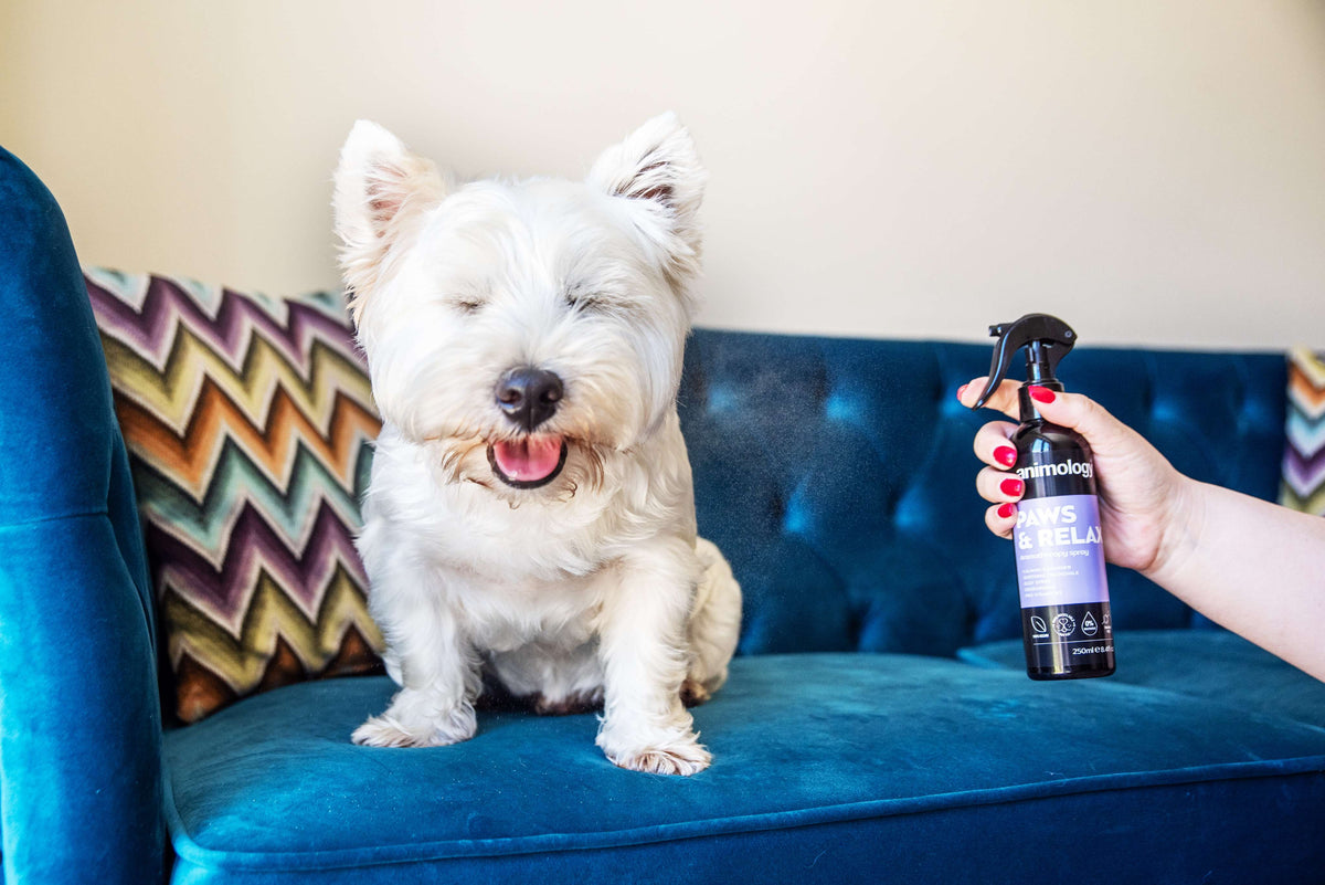 Animology Paws & Relax Aromatherapy Spray image 2
