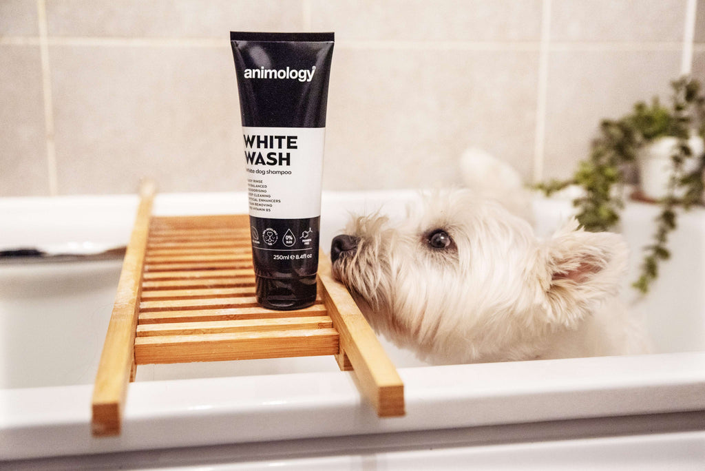 Animology White Wash Shampoo image 2