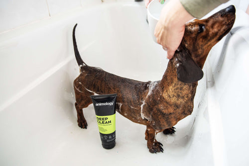 Animology Deep Clean Shampoo image 2