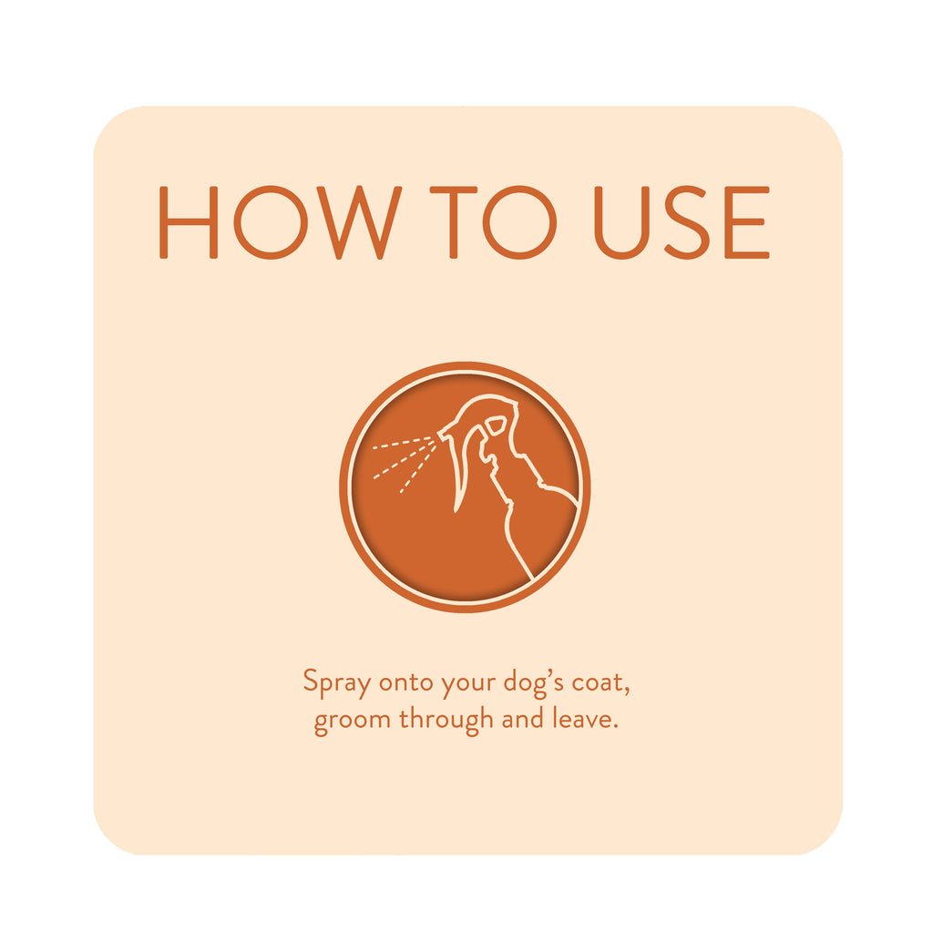 Animology Dirty Dawg No Rinse Shampoo image 4