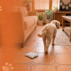 NoPee™ Indoor Marking Prevention for Dogs