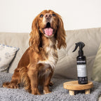 Animology Glossy Dog Conditioning Spray image 4