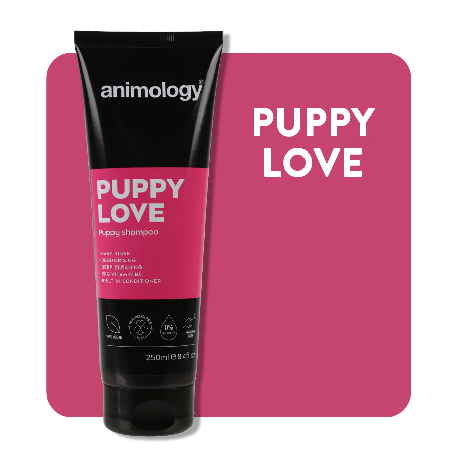 Animology Puppy Love Shampoo image 3