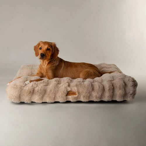 Alpine Box Bed - Champagne