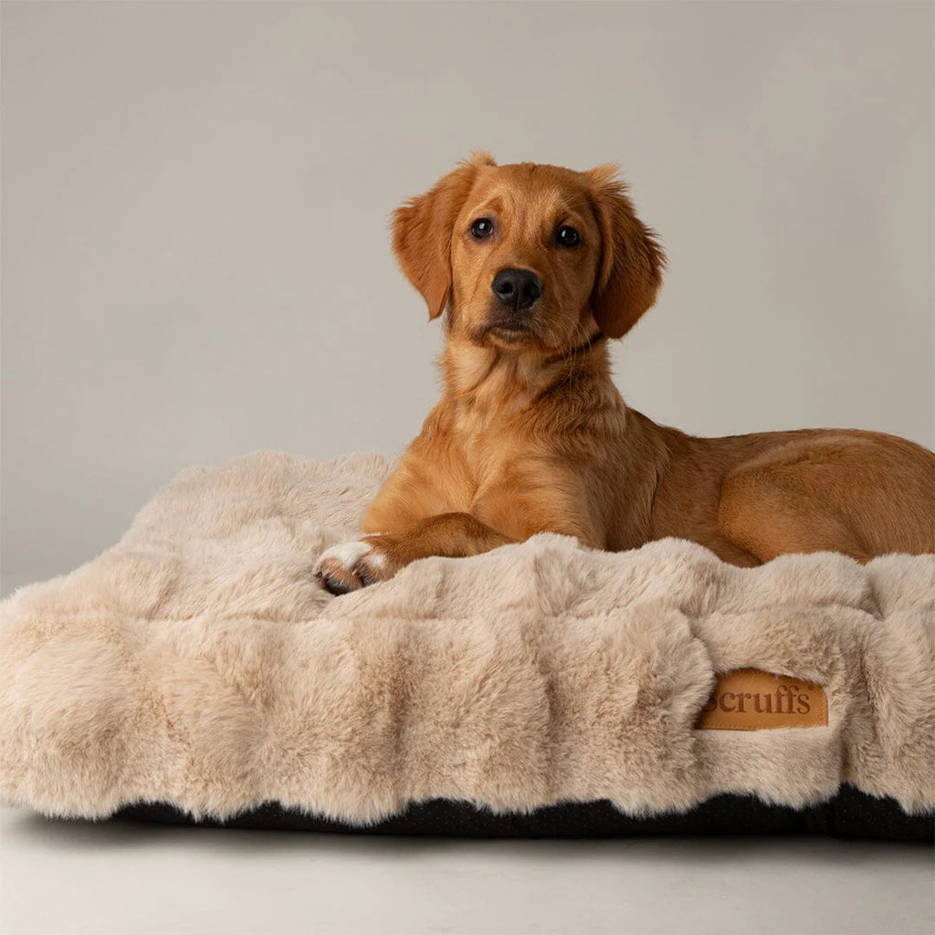 Alpine Box Bed - Champagne
