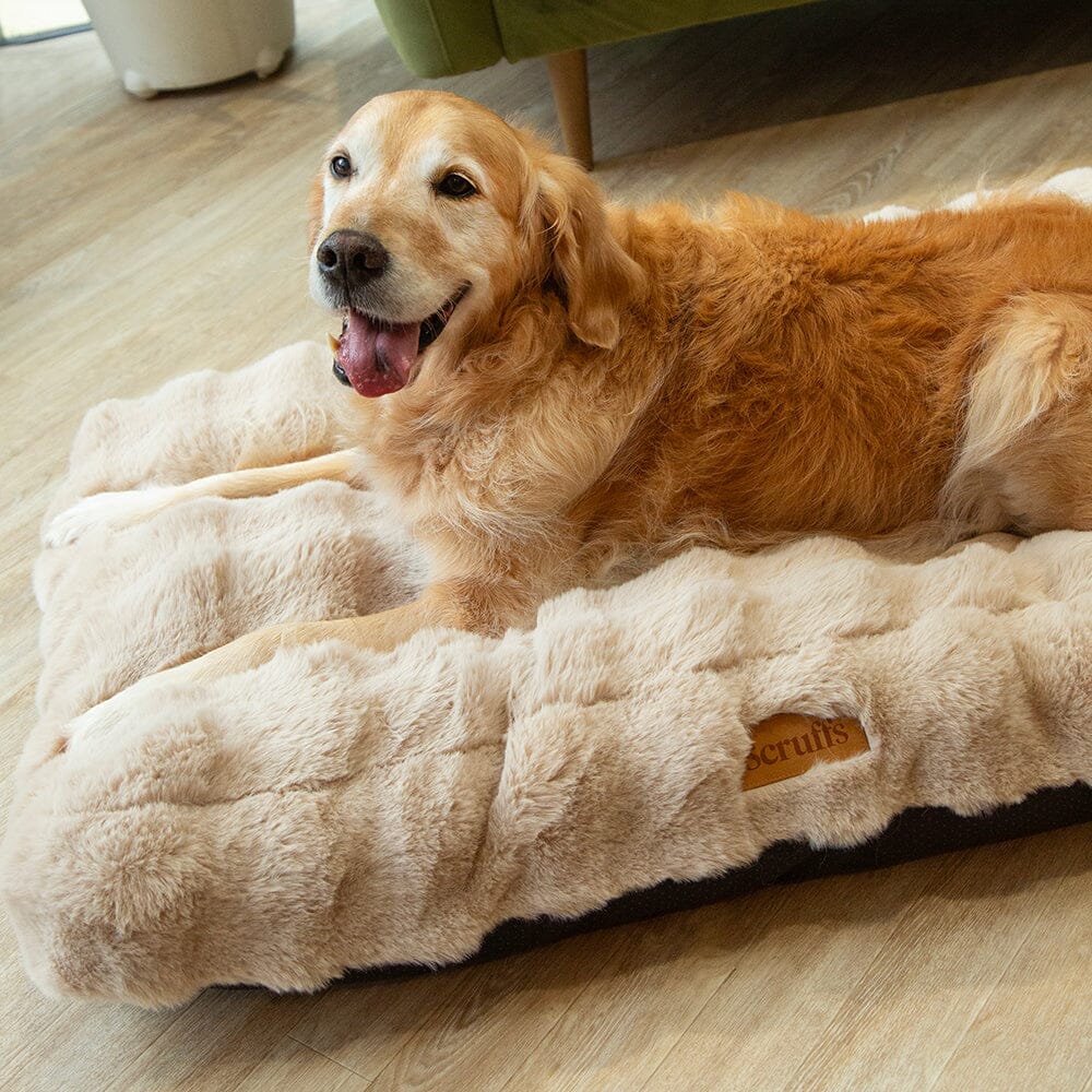 Alpine Box Bed - Champagne