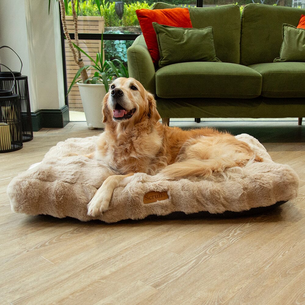 Alpine Box Bed - Champagne
