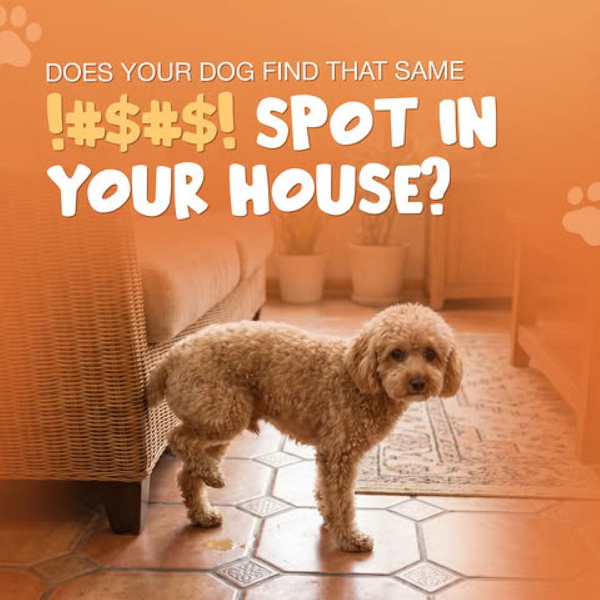 NoPee™ Indoor Marking Prevention for Dogs
