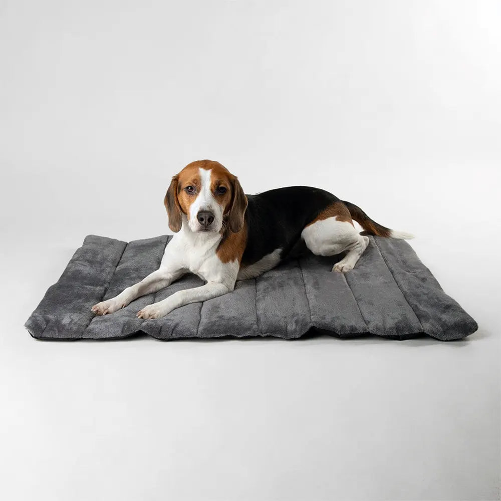 Scruffs Expedition Roll Up Travel Pet Bed - Grey