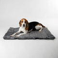 Scruffs Expedition Roll Up Travel Pet Bed - Grey