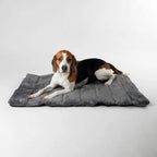 Scruffs Expedition Roll Up Travel Pet Bed - Grey
