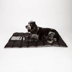 Scruffs Expedition Roll Up Travel Pet Bed - Grey