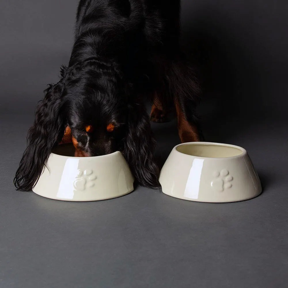 Icon Long Eared Dog Bowl - Cream