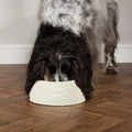 Icon Long Eared Dog Bowl - Cream