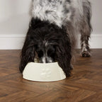 Icon Long Eared Dog Bowl - Cream