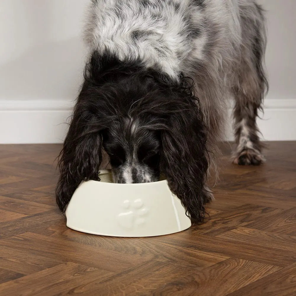 Icon Long Eared Dog Bowl - Cream