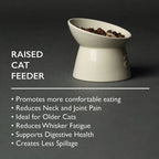 Icon Raised Cat Feeder Bowl - Cream