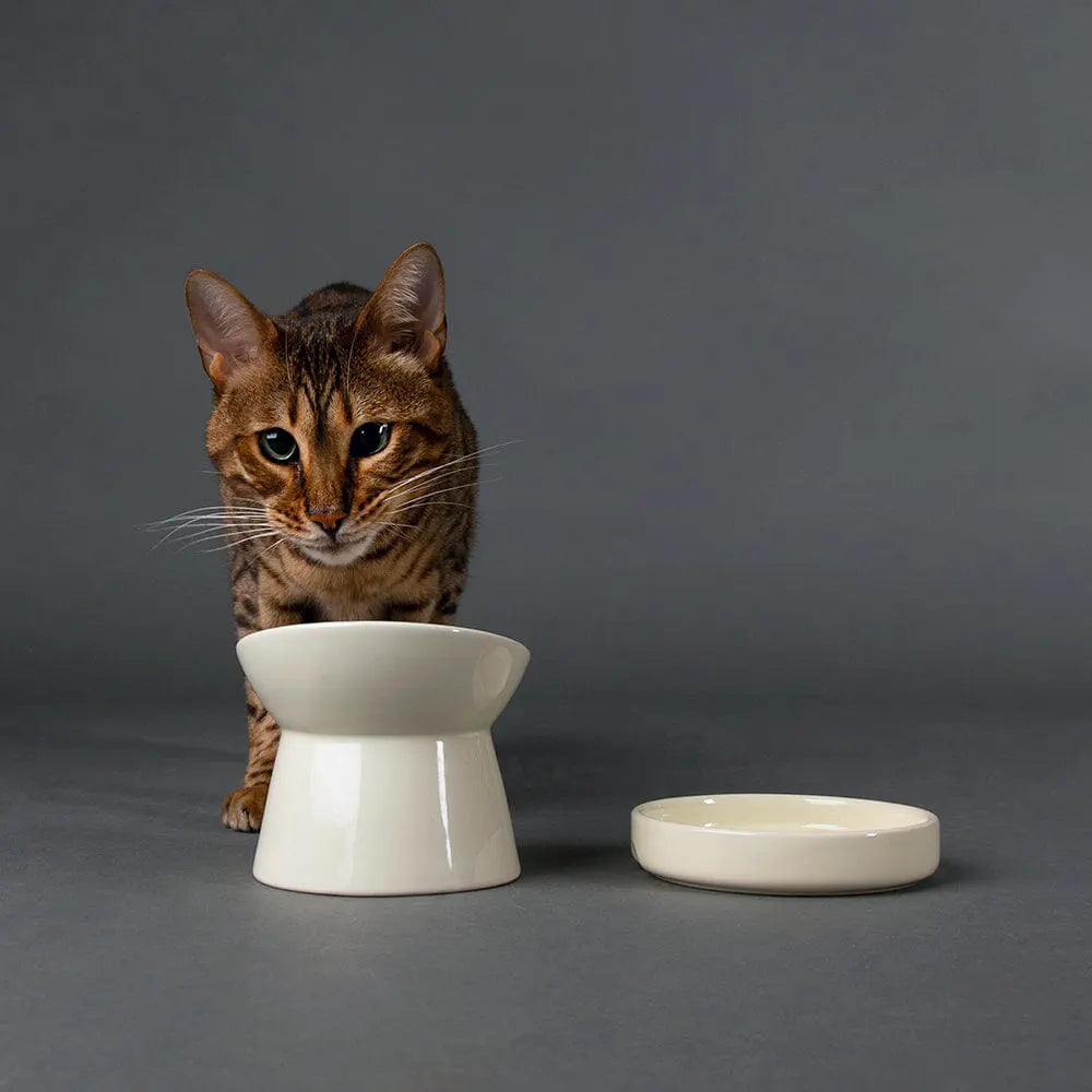 Icon Raised Cat Feeder Bowl - Cream
