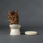 Icon Raised Cat Feeder Bowl - Cream